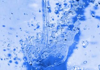 6936_eau_algosophette5